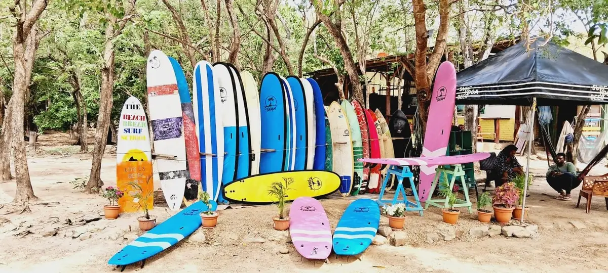 Surfboards of Beach Break Surf School lined up under the trees at Playa Maderas