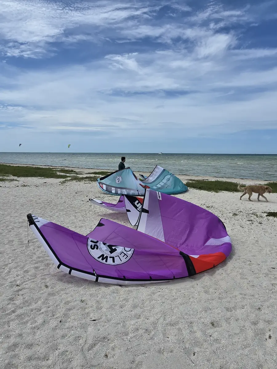 A purple kite and teal kites laid out on the white sand with the sea behind