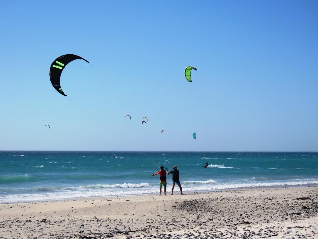 Several kites in the sky above the beach on a clear day