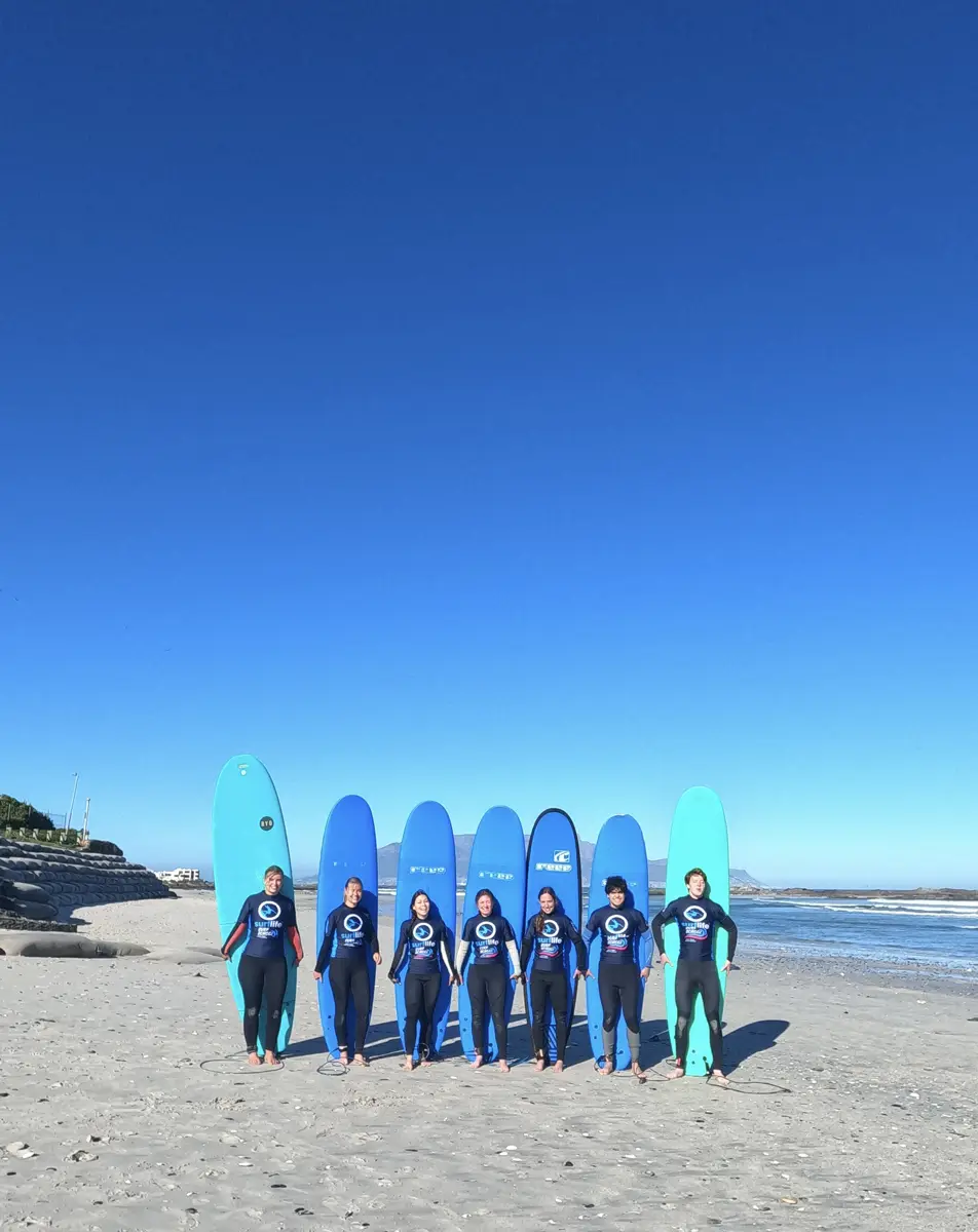 Students in wetsuits lined up on the beach with their surfboards standing behind them